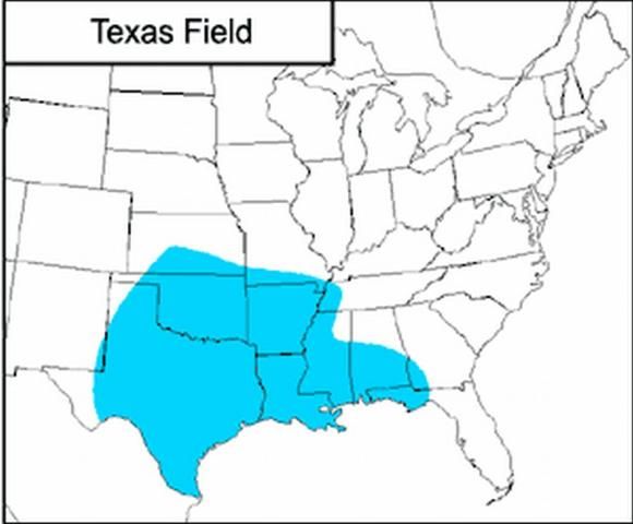 Figure 1. Distribution of Southwestern field cricket in the United States.