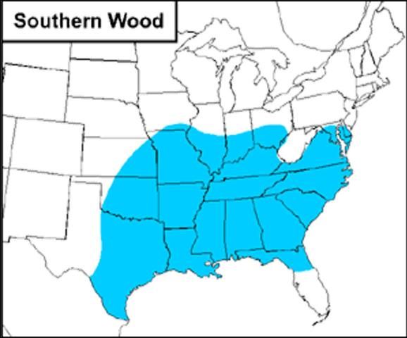 Figure 1. Distribution of the Southern wood cricket throughout the United States.