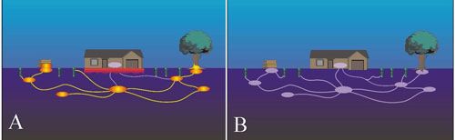 Figure 10. Termites feed on CSI baits and transfer the baits to other member of the colony (A) until most of the colony member receive lethal doses of CSIs, resulting in the collapse of the colony (B).