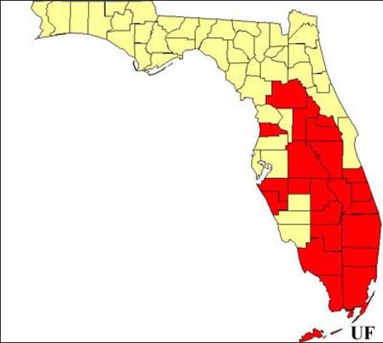 Figure 1. Distribution of the little fire ant, Wasmannia auropunctata (Roger), in Florida, as of 2000.
