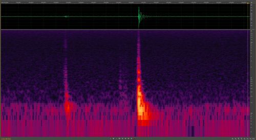 Figure 15. Eumaeus atala Poey sonogram of pupal stridulation—amplified at bottom (red and yellow peaks) for better visualization. Both sounds were made at a frequency between 100–500 Hz and lasted for 0.07 seconds.