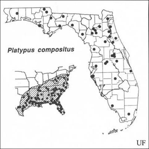Figure 16. Distribution of Platypus compositus (Say). Based on Beal & Massey (1945), Blackman (1922), Wood (1958, 1979), Staines (1981) and personal observations.