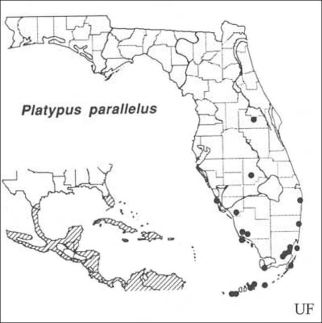 Figure 18. Distribution of Platypus parallelus (Fabricius). Based on Beal & Massey (1945), Blackman (1922), Wood (1958, 1979), Staines (1981) and personal observations.