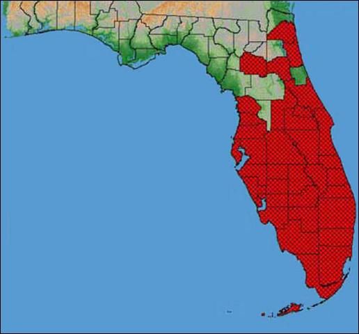 Figure 1. Distribution of the Caribbean fruit fly, Anastrepha suspensa (Loew), in Florida.