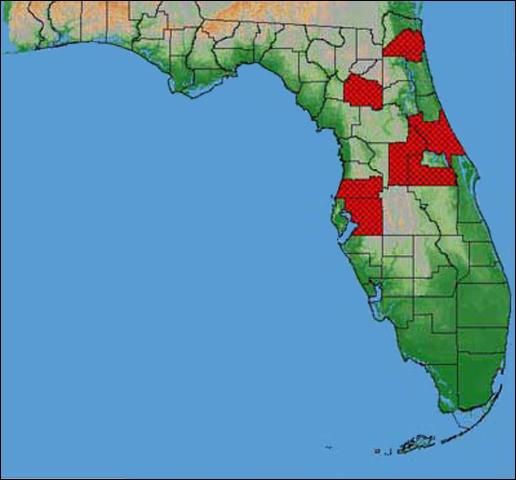 Figure 1. Reported distribution of the cherry fruit fly, Rhagoletis cingulata (Loew), in Florida.