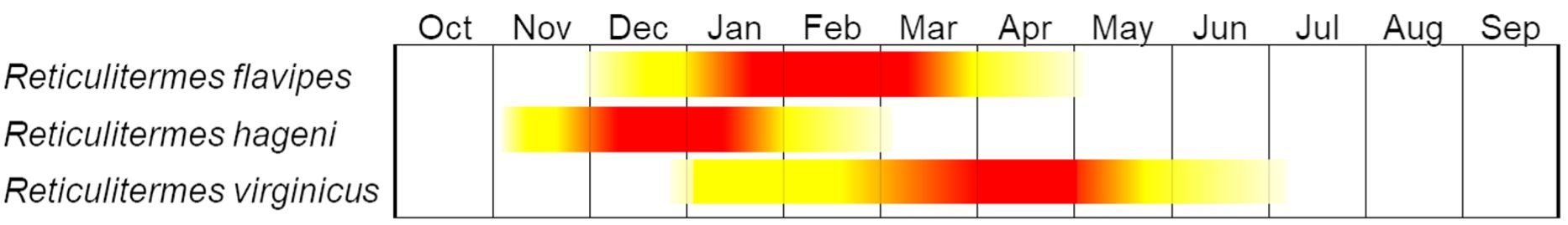 Dispersal flight season of the three Reticulitermes spp. in Florida. For a given species, populations located in southern Florida may fly earlier within the season than populations located in Northern Florida. 