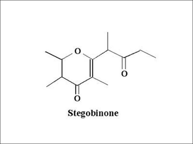 Figure 7. Chemical structure of stegobinone, a sex pheromone of the drugstore beetle, Stegobium paniceum (L.).