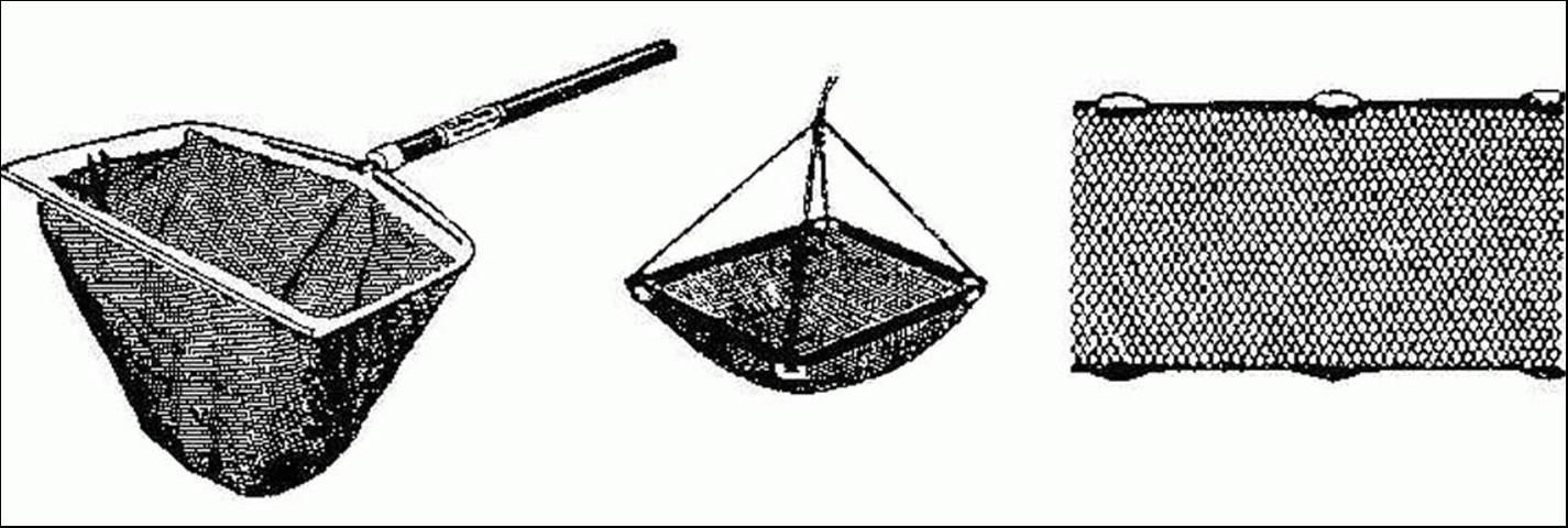 Figure 18. Dip nets, lift nets and seines are effective for catching small fish.
