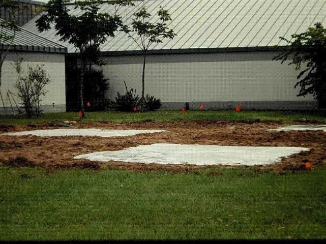 Diagram of a plant-parasitic nematode stylet.