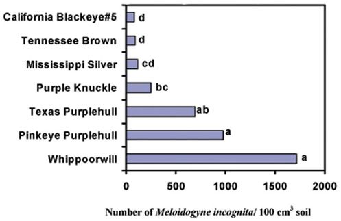 Population densities of the root-knot nematode, Meloidogyne incognita, following seven cowpea cultivars in Alachua County, FL, 1991. Bars followed by the same letter are not different (P is less than or equal to 0.05), according to Duncan’s multiple range test performed on log-transformed data. 