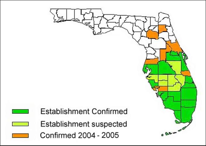 Figure 1. White-footed ant infestations in Florida.