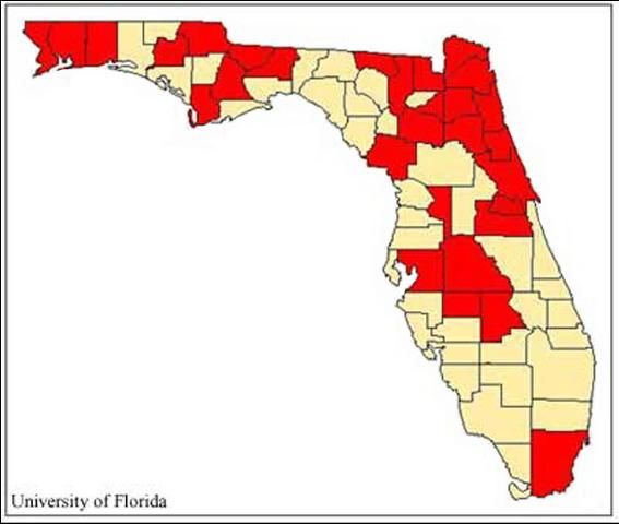 Figure 2. County records (in red) of the hieroglyphic moth, Diphthera festiva (F.) in Florida based on label data taken from specimens examined in the Florida State Collection of Arthropods (FSCA). April 2004.