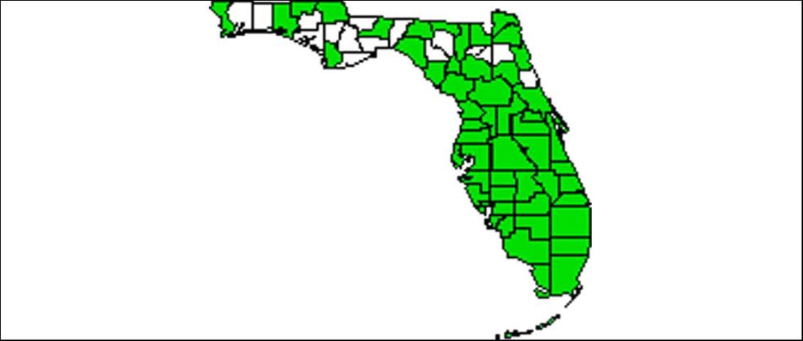 Figure 1. Florida distribution.