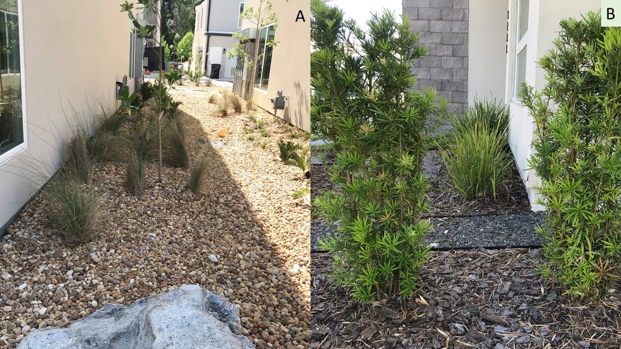 Landscape designed with inorganic ground cover (A) or a mix of organic and inorganic media (B).