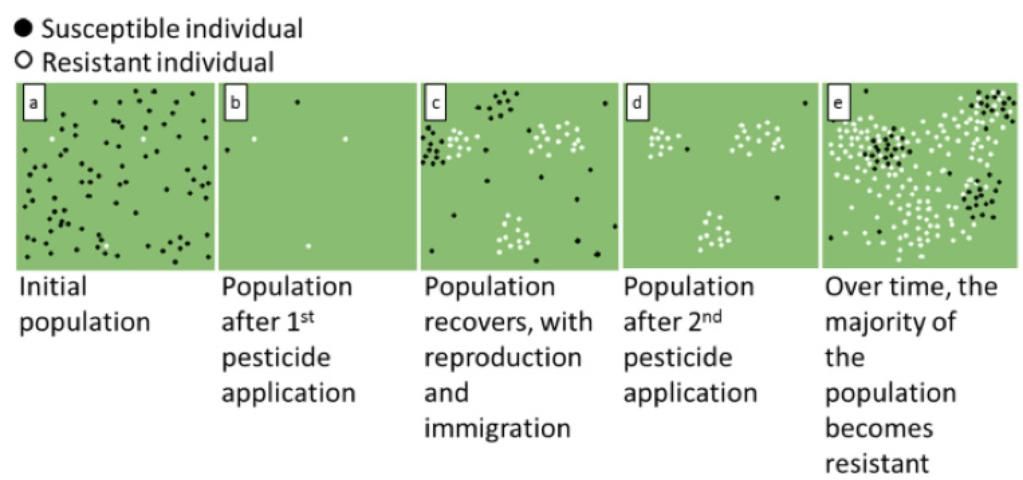 Figure 2. Timeline of insecticide resistance development.