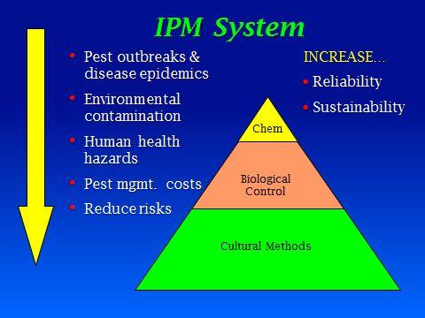 Figure 2. An IPM system is based on cultural methods and biological control, followed by relatively low-risk pesticides and, if necessary, pesticides with more side effects. IPM reduces problems caused by pests and their control while increasing the reliability and sustainability of crop production. Information is required to design a site-specific IPM system that supports decisions resulting in cost-effective, safe and sustainable pest management.