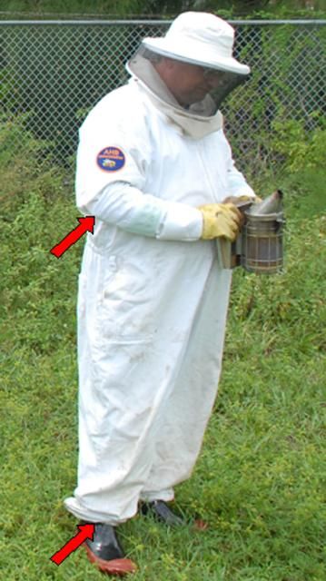 Figure 4. A full suit includes elastic around pant cuffs and sleeve cuffs. Some veils, as pictured here, are attached to the suit with a zipper. Rubber boots are a good option for full protection. Gloves' gauntlets should extend onto forearm. Arrows indicate areas where duct tape should be used to seal gloves and boots to suit.