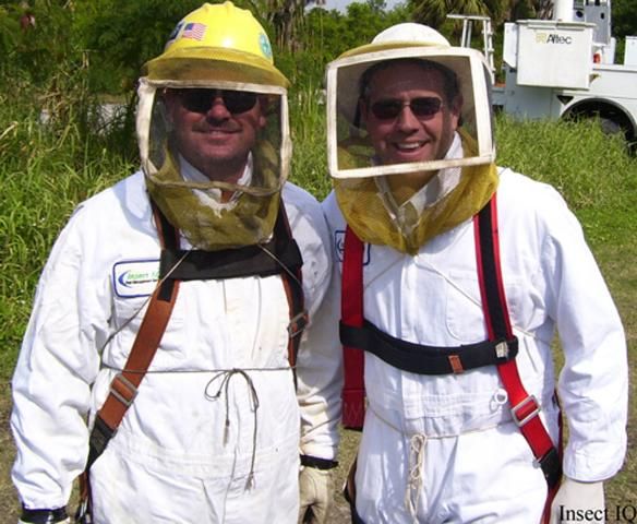 Figure 2. PCOs wearing full PPE. These veils are detachable and do not provide the same level of protection that veils which zip to the sting suit do; however, detachable veils are beneficial if a PCO needs to wear a hard hat or interchange head protection.