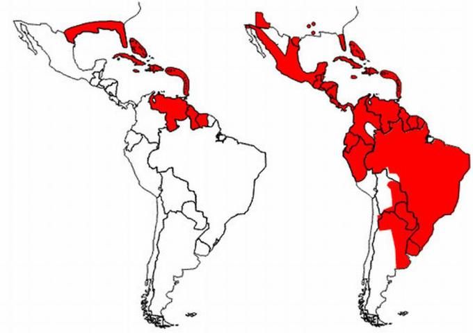 Figure 2. Reinfestation by the yellow fever mosquito, Aedes aegypti (Linnaeus), in the Americas, as of 2002. Left image shows reduction of range resulting from the eradication programs beginning in the mid-1990s. Right image shows reinfestation resulting from the end of the eradication programs.