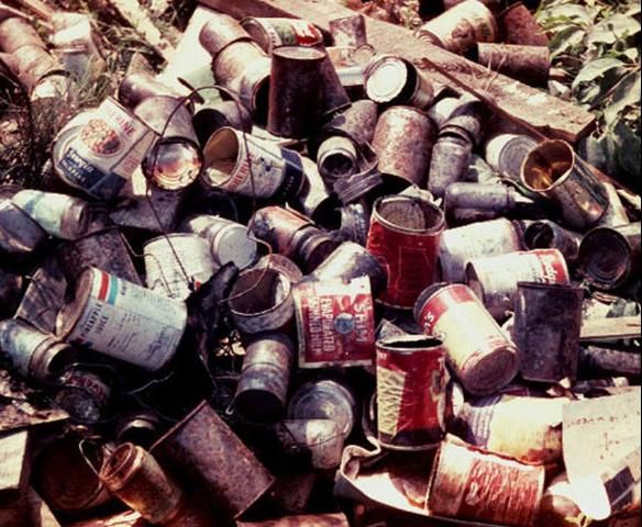 Figure 15. Mosquitoes can breed in tin cans in open dumps or around the yard.