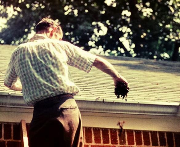 Figure 14. Organic matter left in gutters allows water to collect and mosquitoes to breed. Keep gutters clean so water can flow out.