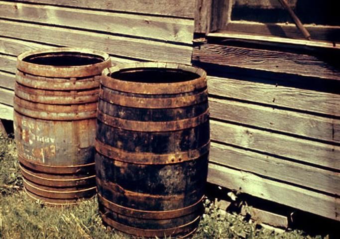 Figure 13. Rain barrels around the home are prime breeding locations for the yellow fever mosquito, Aedes aegypti (Linnaeus).