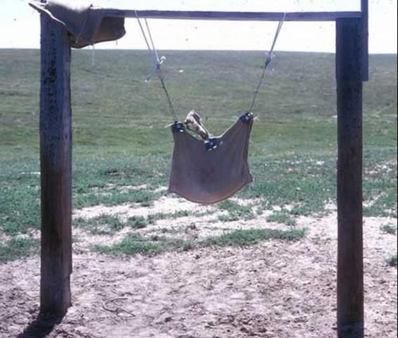 Figure 6. Dust bag used to apply insecticides to cows.