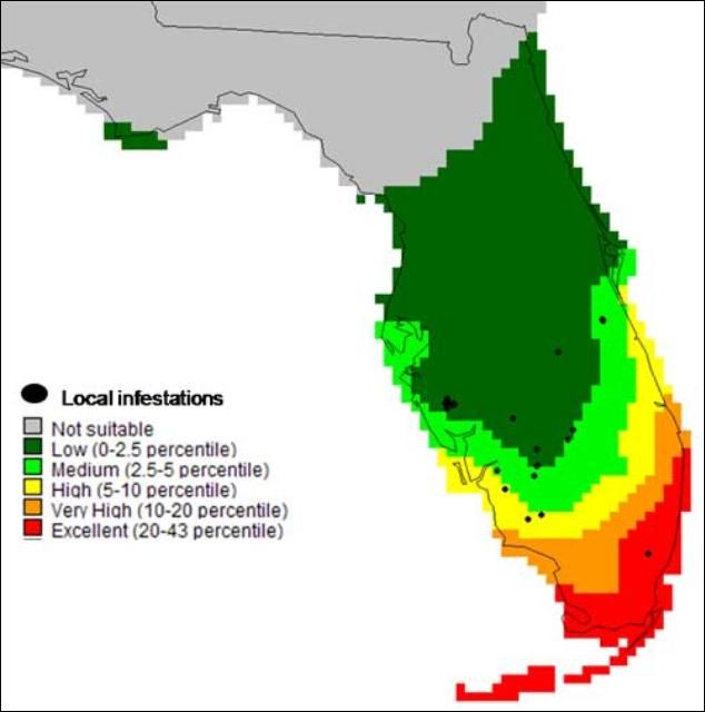 Figure 12. Model prediction of climate suitability for West Indian marsh grass, Hymenachne amplexicaulis (Rudge) Nees (Poaceae), in Florida, using herbarium specimens from New York and Missouri Botanical Gardens.