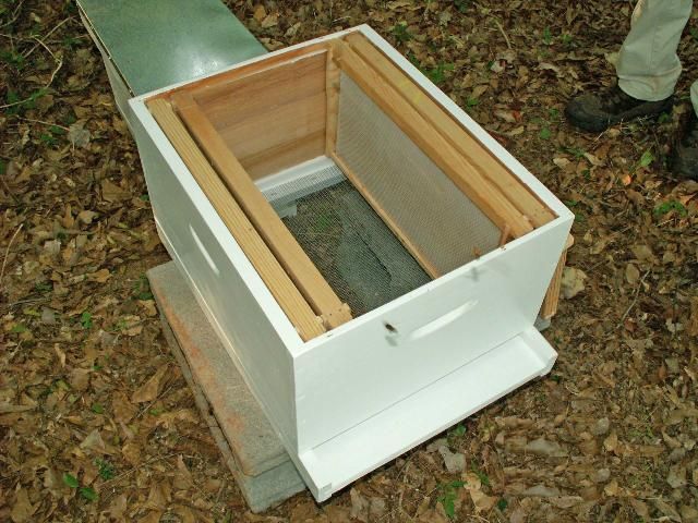 Figure 18. A full-size hive ready to accommodate frames from a nuc.