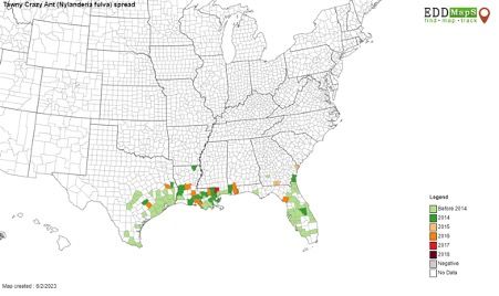 Figure 2. Distribution of the tawny crazy ant in the United States.