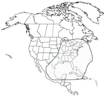 Figure 2. Distribution of Culiseta melanura in North America.