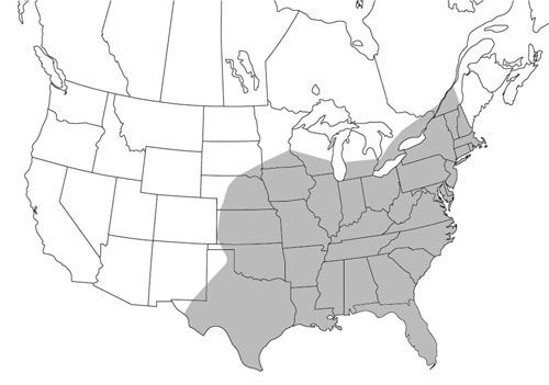 Figure 1. Psorophora ciliata distribution in North America, north of Mexico.