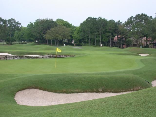 Hybrid bermudagrass used on a golf course.