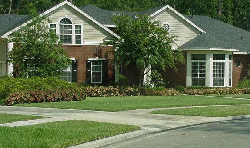 A St. Augustinegrass lawn.