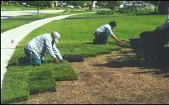Sodding produces an instant lawn.