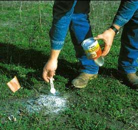 Individual fire ant mound treatment.