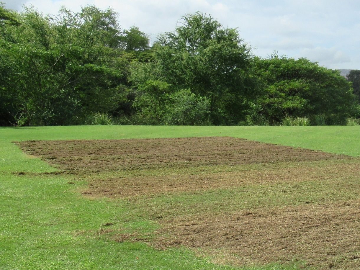  Corte vertical agresivo para remover acolchonamiento.