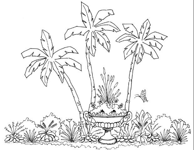 Figure 15. Emphasis by isolation of plant material in a container.