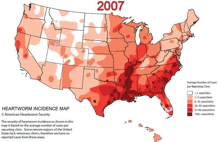 Figure 1. Distribution of dog heartworm in the United States.