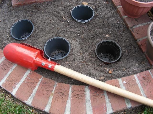 Figure 5. Use a post-hole digger to dig holes and then plant an empty pot.