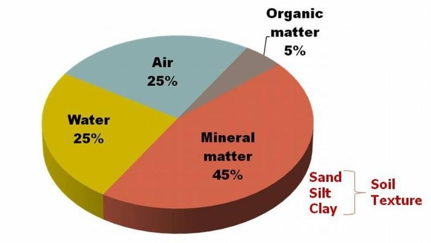 Figure 1. Typical components of soil.