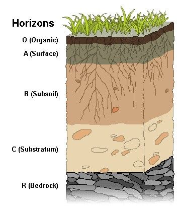 Figure 3. The soil profile.