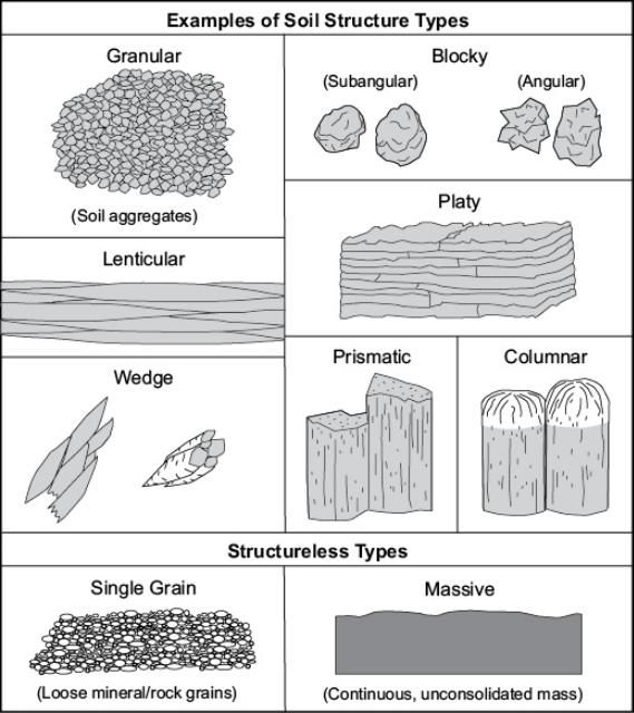 Figure 5. Examples of soil structure types.
