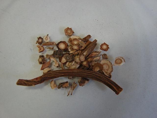 Figure 1. Sarsparilla root Smilax officinalis.
