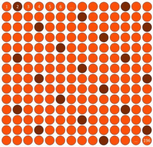 Figure 4. Systematic sample of 20 ping pong balls.