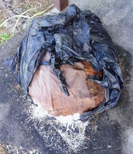 Figure 15. Dry pesticide spilled from torn bags.