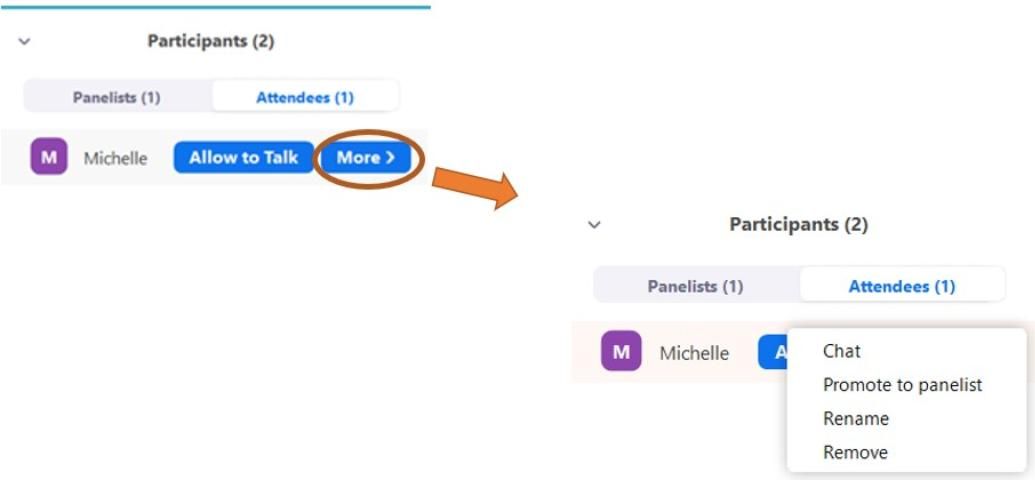 Figure 11. The Host, Co-Host, and Panelists will see the following control options for attendees.