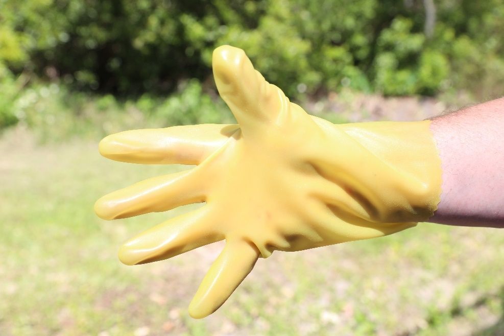 Polyvinyl chloride gloves.