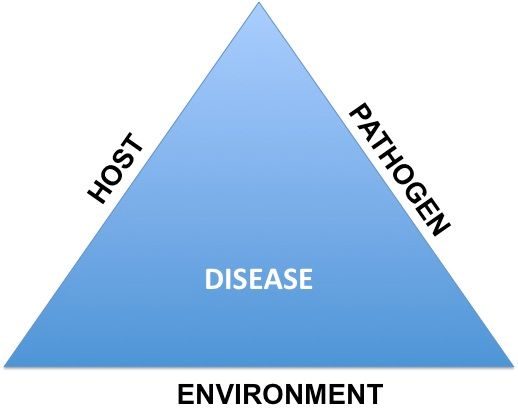 Figure 1. Disease triangle indicating interaction of the pathogen, host, and the environment leading to a plant disease