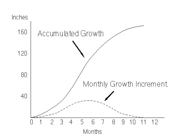 Figure 5. Hypothetical growth curve for Florida sugarcane.